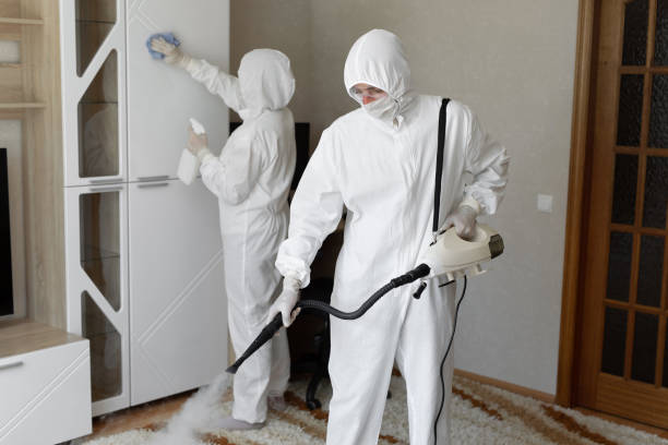 Best Mold Damage Repair  in East Whittier, CA