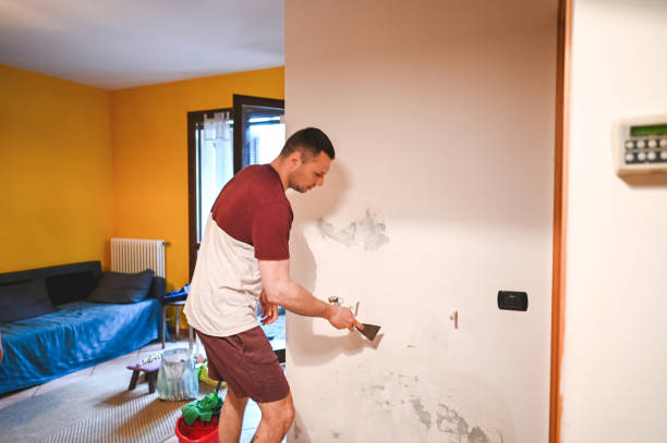 Home Mold Removal in East Whittier, CA